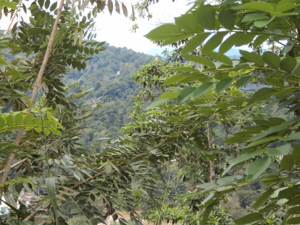 Araliya Home Stay Kandy Exterior foto