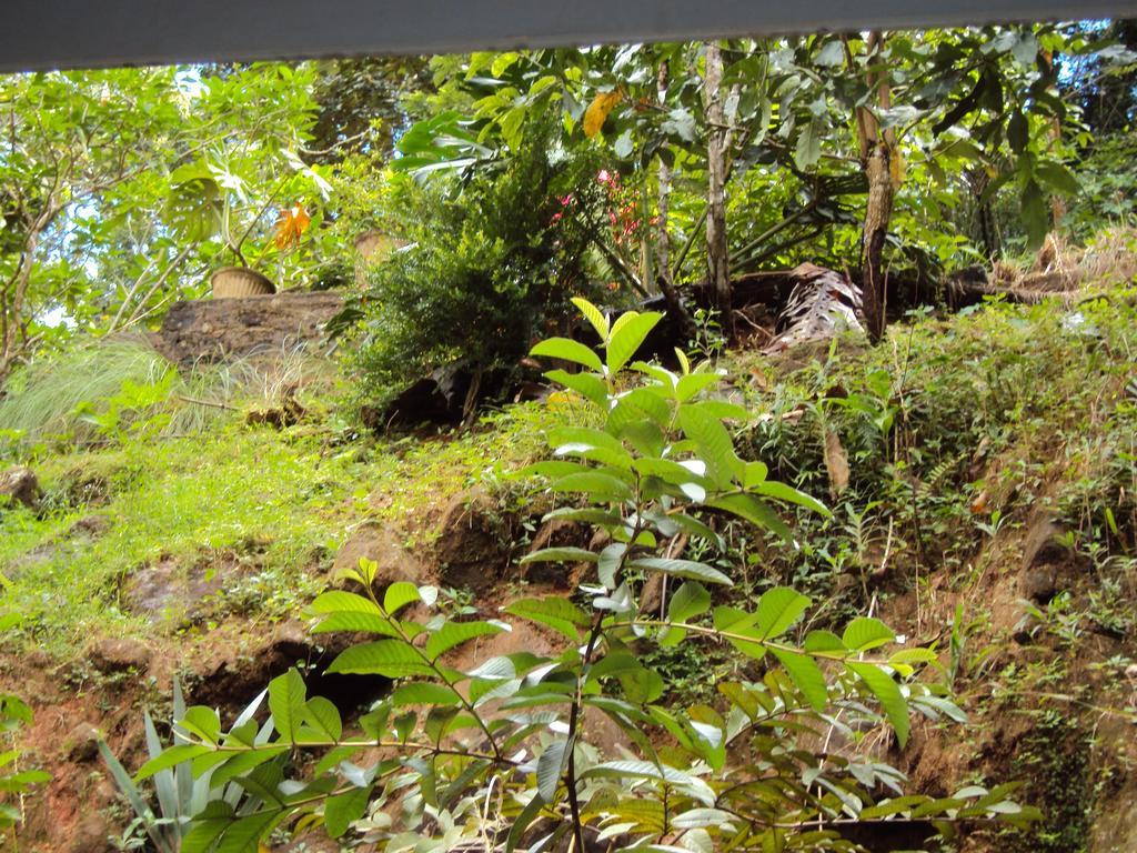 Araliya Home Stay Kandy Exterior foto