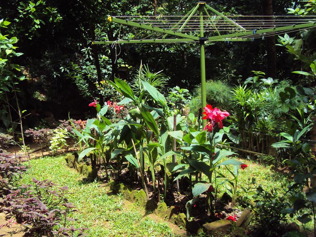 Araliya Home Stay Kandy Exterior foto