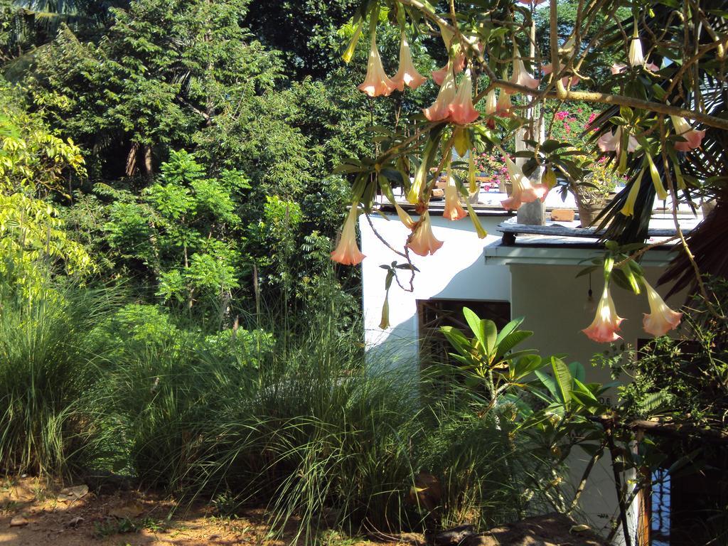 Araliya Home Stay Kandy Exterior foto