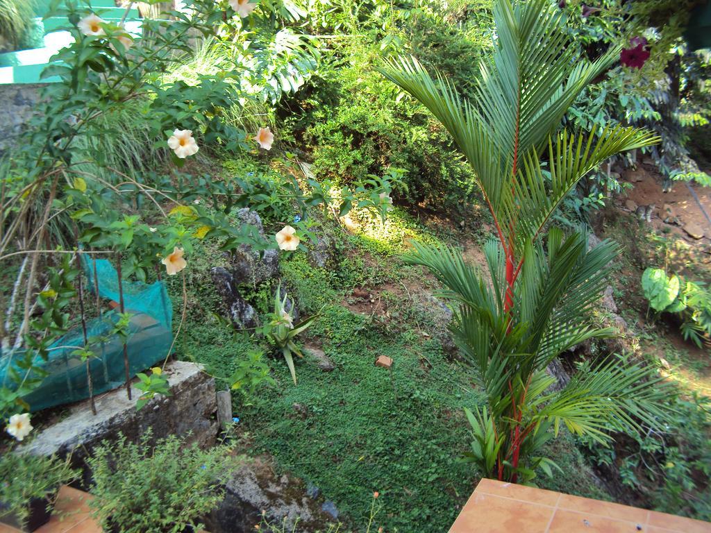 Araliya Home Stay Kandy Exterior foto