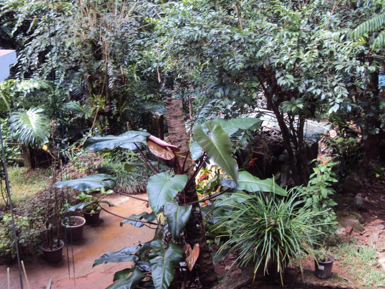 Araliya Home Stay Kandy Exterior foto